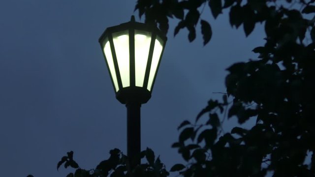 公園のランプ