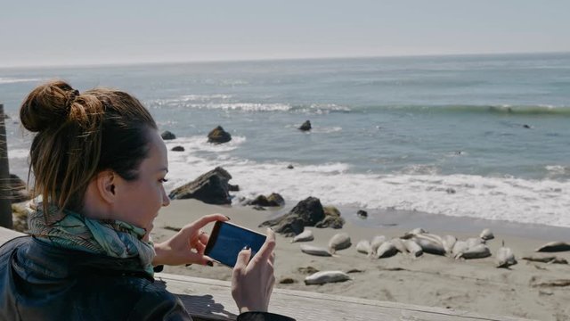 Woman filming sea lions resting on a Pacific Coast beach