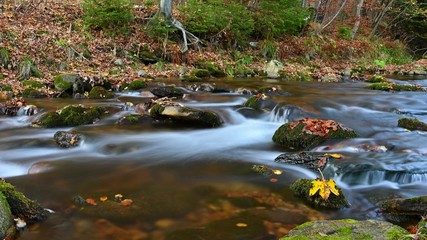 Beautiful colorful background with river and stones in autumn time. White Opava Waterfalls - Jeseniky Mountains - Czech Republic.