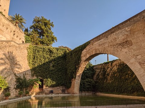 Amtshandlung Bilder Durchsuchen 682 Archivfotos, und