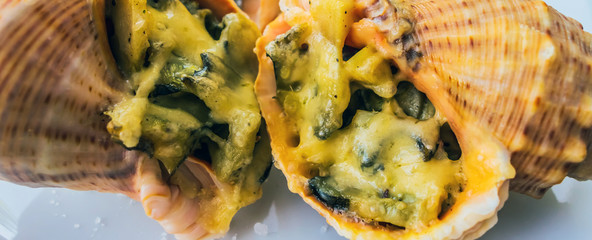 Rapana seafood spotted babylon grilled