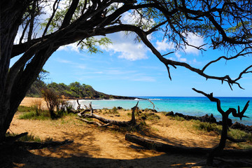 Fototapeta premium A picture perfect day in paradise at Little Beach on the island of Maui, Hawaii. 