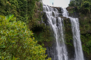 Fototapeta premium Tad yuang fall , A big waterfall in Jam Pha Sak,Bolaven, Laos.