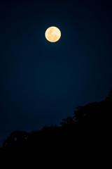 full moon in the sky © Michel