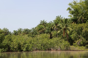 Beautiful Landscape in Gambia – Africa