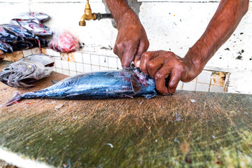 Fischmarkt in Saint George die Hauptstadt der Insel Grenada.