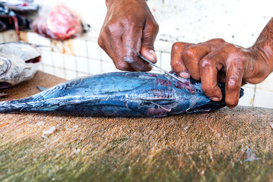 Grenada, der Fischmarkt in der Hauptstadt St. George.