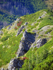 Mountain landscape nature rock trip