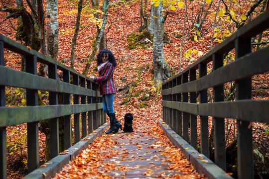 Young woman on a small wooden bridge in a forest at autumn. River and camping place Grza near the Paracin in Serbia.
