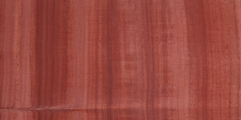  Fragment of an old tree with a knot ,invoice of wood. preparation for design,texture of a board,wood veneer