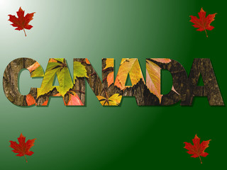 Up close with Canada and its colors