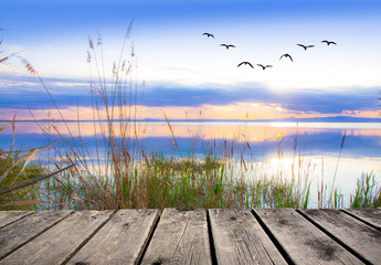 Fototapeta na wymiar paisaje de un paseo de madera junto al lago