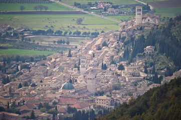 The town of Assisi from Monte Subasio 