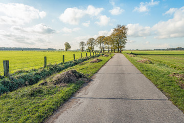 Rural landscape in Belgium
