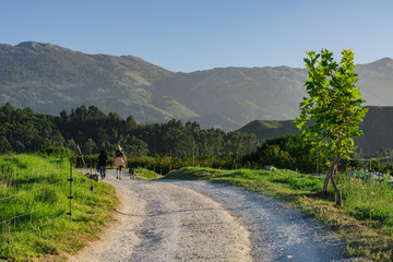 Walk in the mountains