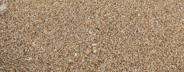pebbly beach with small pebbles