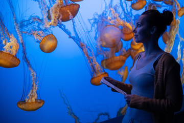 Woman watching exotic jellyfishes in an aquarium