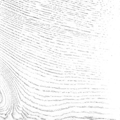  Fragment of an old tree with a knot ,invoice of wood. preparation for design,texture of a board,wood veneer