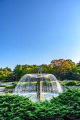 Fototapeta premium 昭和公園 噴水