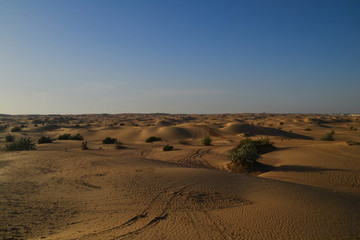 sand dunes in desert