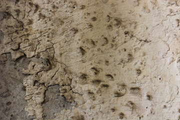 old wall in a stone house