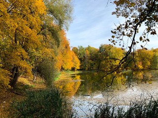 autumn landscape with river and trees