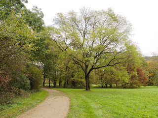 Landschaftspark Grütt oder Grüttpark in Lörrach im Südwesten Baden-Württembergs. Naturlehrpfad und Landschaftspark im Grütt mit kleinem See, wald, wiesen und Rosengarten