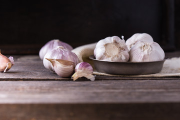 Organic Garlic bulb and garlic cloves on the wooden table in the garden.