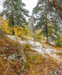 The first snow in Karelia in 2019.