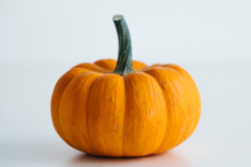 Fresh pumpkin isolated on white background. For Halloween, thanksgiving holiday and Autumn theme.