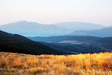 Panele Szklane  Żółta trawa drży na wietrze w jesiennych górach o wschodzie słońca. Karpaty, Ukraina. Fotografia krajobrazowa