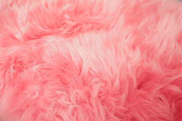 Fototapeta premium Bliska różowy futro tekstury na tle