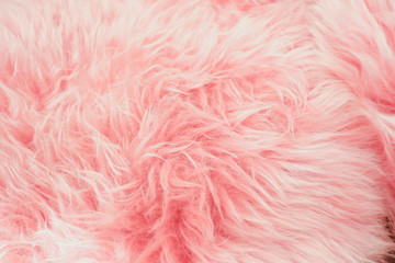 Fototapeta premium Close up pink fur texture for background