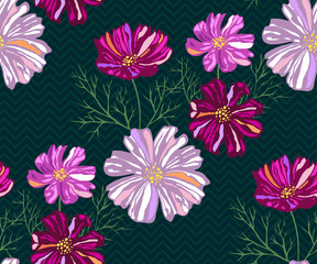 Fototapeta na wymiar Seamless pattern with Cosmos bipinnatus. Hand drawing decorative background. Vector pattern. Print for textile, cloth, wallpaper, scrapbooking