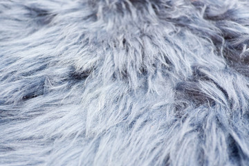 Blue fur texture for background 