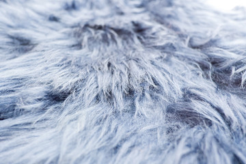 Blue fur texture for background 