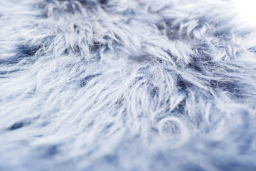 Blue fur texture for background 