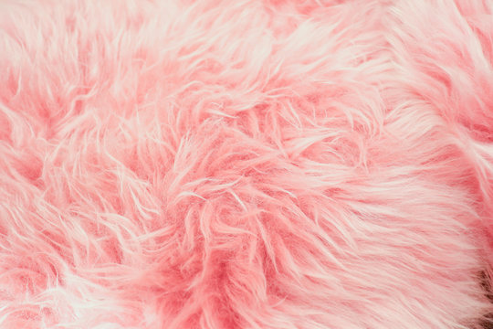 Close Up Pink Fur Texture For Background