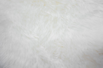 Fototapeta na wymiar White fluffy fur texture for background
