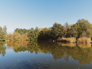 Fototapeta na wymiar Grüttpark in Lörrach. Naturlehrpfad und Landschaftspark im Grütt mit kleinem See, Grüttsee, wald, wiesen und Rosengarten mit Herbstfarben