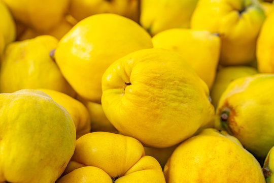Bunch of yellow quinces fruits for sale in a market.