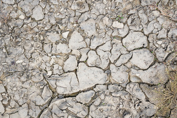 Dry ground as a texture or background.