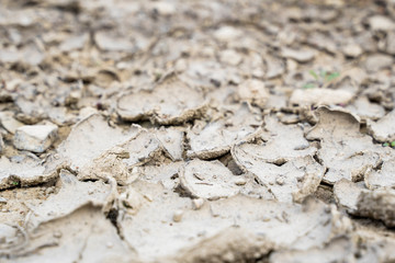 Dry ground as a texture or background.