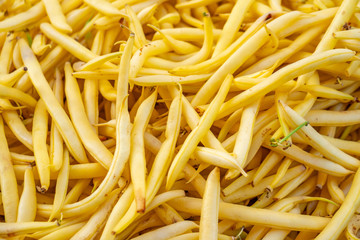 Harvested yellow beans for sale at farmers market