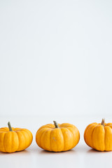 Naklejka na ściany i meble Fresh pumpkin isolated on white background. For Halloween, thanksgiving holiday and Autumn theme.