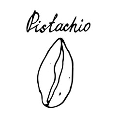 Hand painted nut on an isolated white background. Black outline pistachio. Vector illustration.