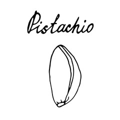 Hand painted nut on an isolated white background. Black outline pistachio. Vector illustration.