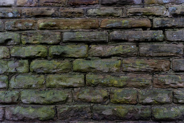 British Winter Mossy Brick Wall