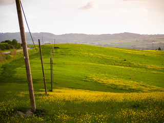 green Tuscan hills on a sunny spring day
