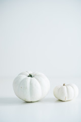 Fresh pumpkin isolated on white background. For Halloween, thanksgiving holiday and Autumn theme